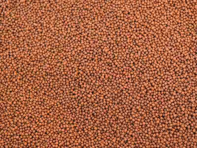 3. Bait That The Tench Loves: Granules for trout