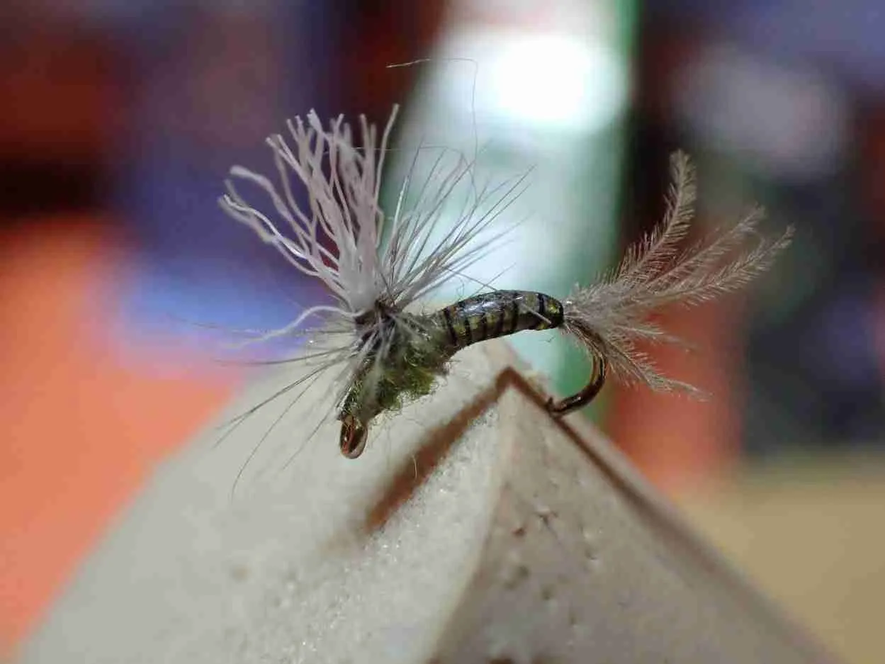 BWO Foam For Emergence for Winter Fly Fishing