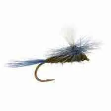 Baeties For Fly Fishing