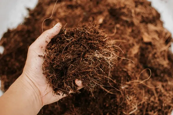 Coconut soil