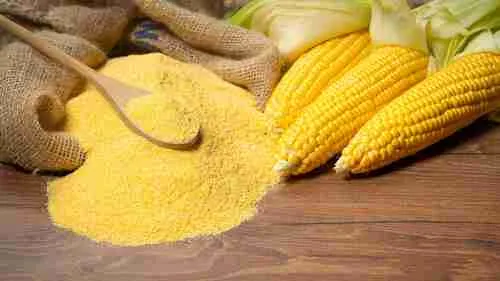 Homemade Groundbait Corn flour: