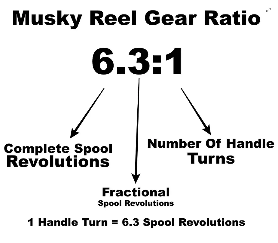 Different fishing reel gear ratios comparison