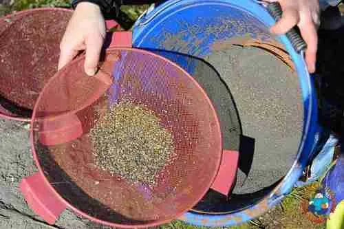 The sieve for sifting bait varies in size. Standard products are considered to be from 2 to 5 millimeters.