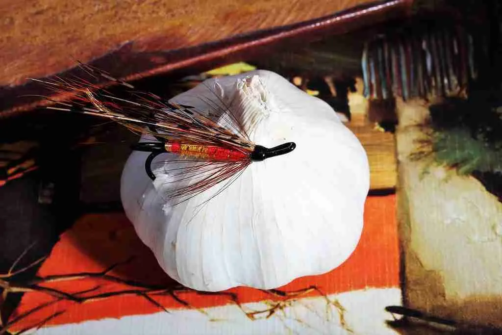 Garlic as Fish Bait
