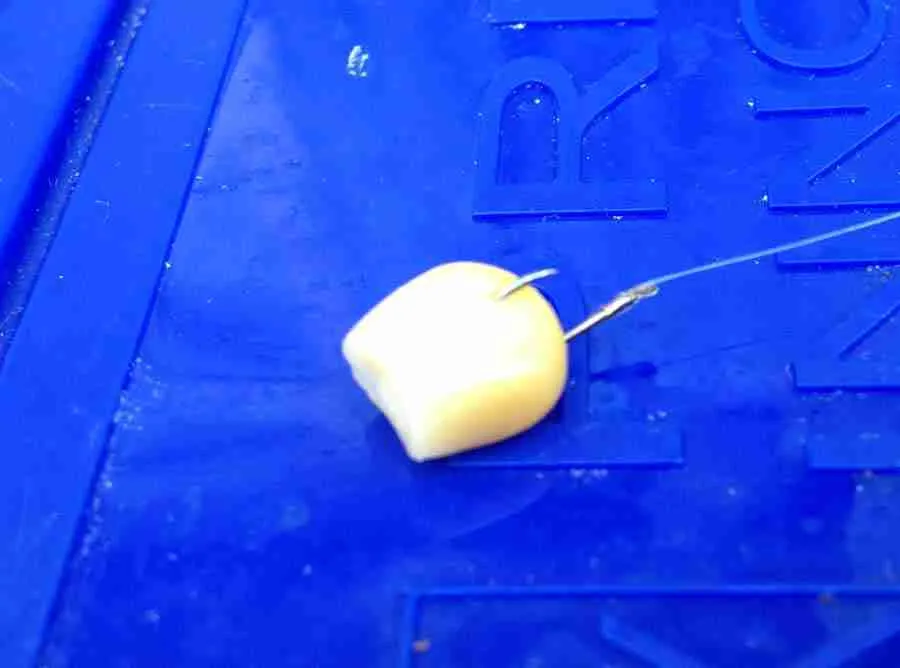 How to properly hook corn for Fishing