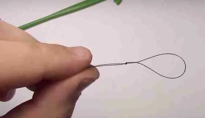 Loop on a leash