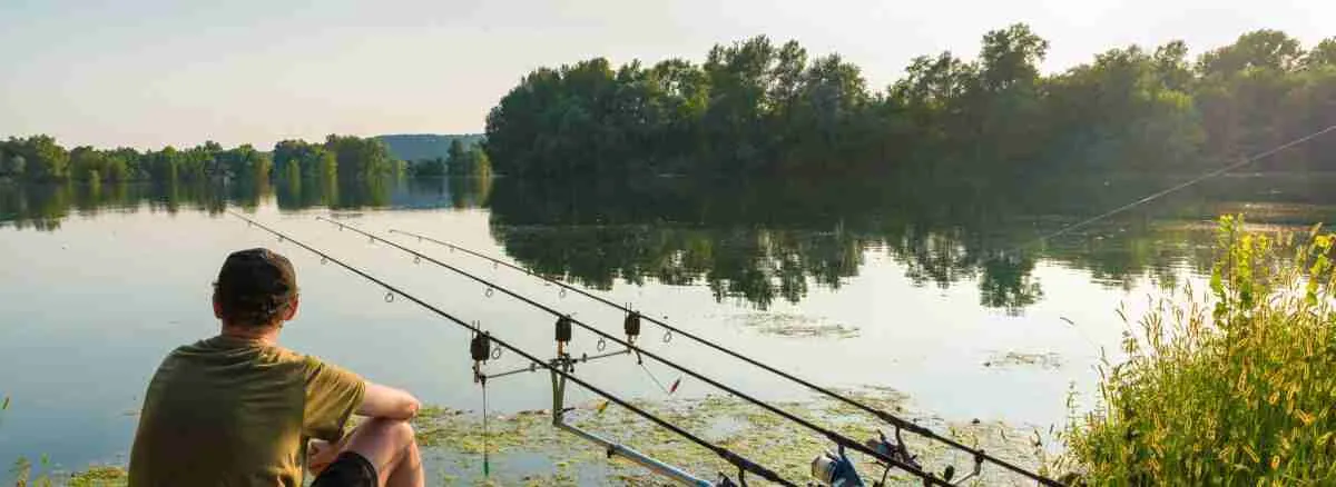 Optimal pressure for carp fishing