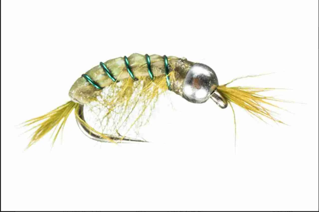 Scud beads for Winter Fly Fishing