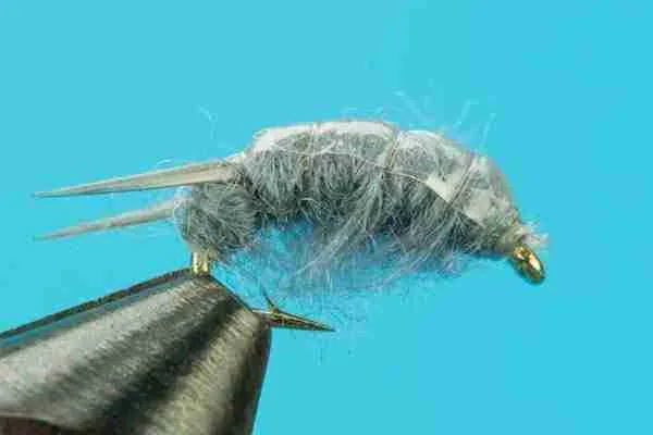 Scuds & Sow Bugs for Winter Fly Fishing