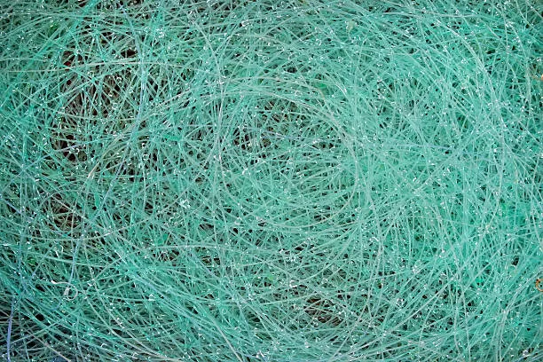 Ultralight Line for fishing