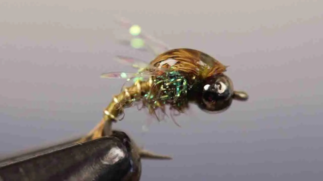 Flying Nymph For Winter Fly FishingFlying Nymph For Winter Fly Fishing
