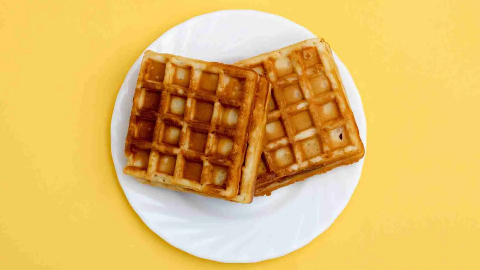 Homemade Groundbait Waffle crusts: