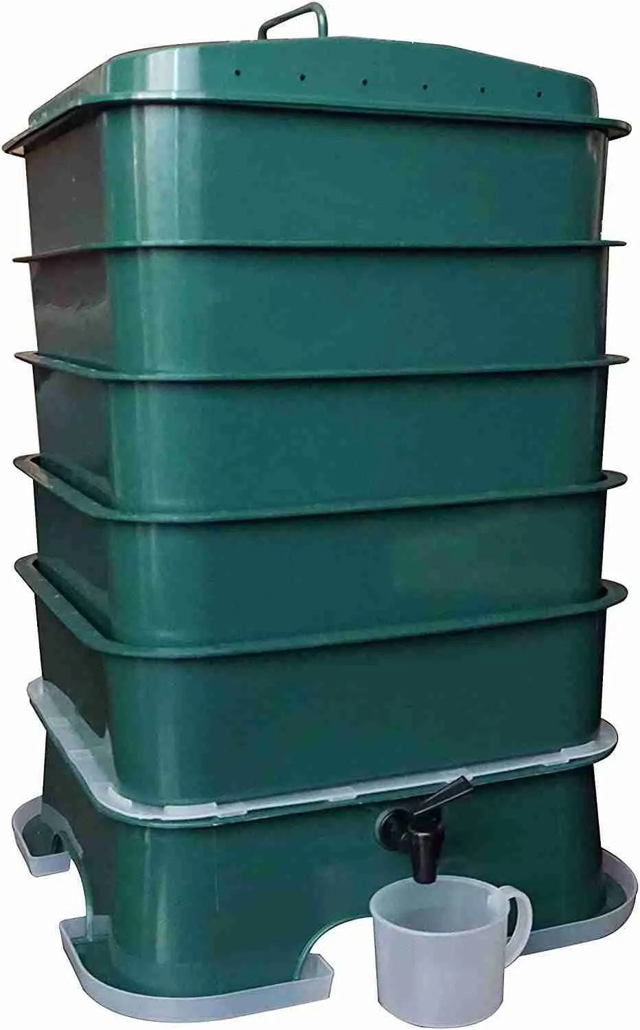 Worm Compost