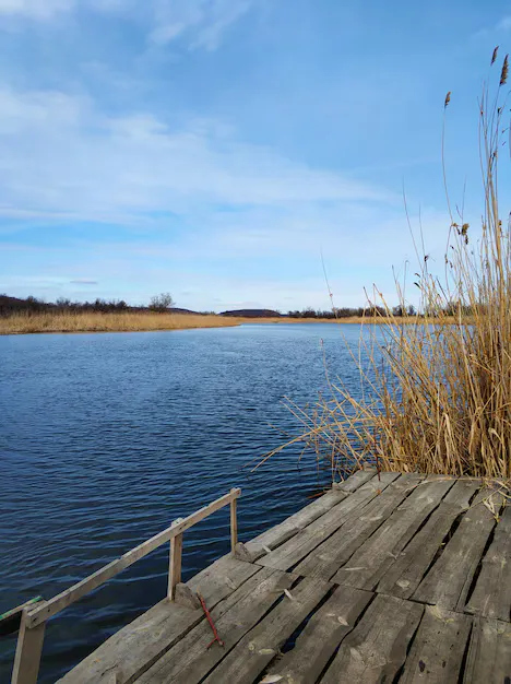 Empty fishing spot with minimal activity