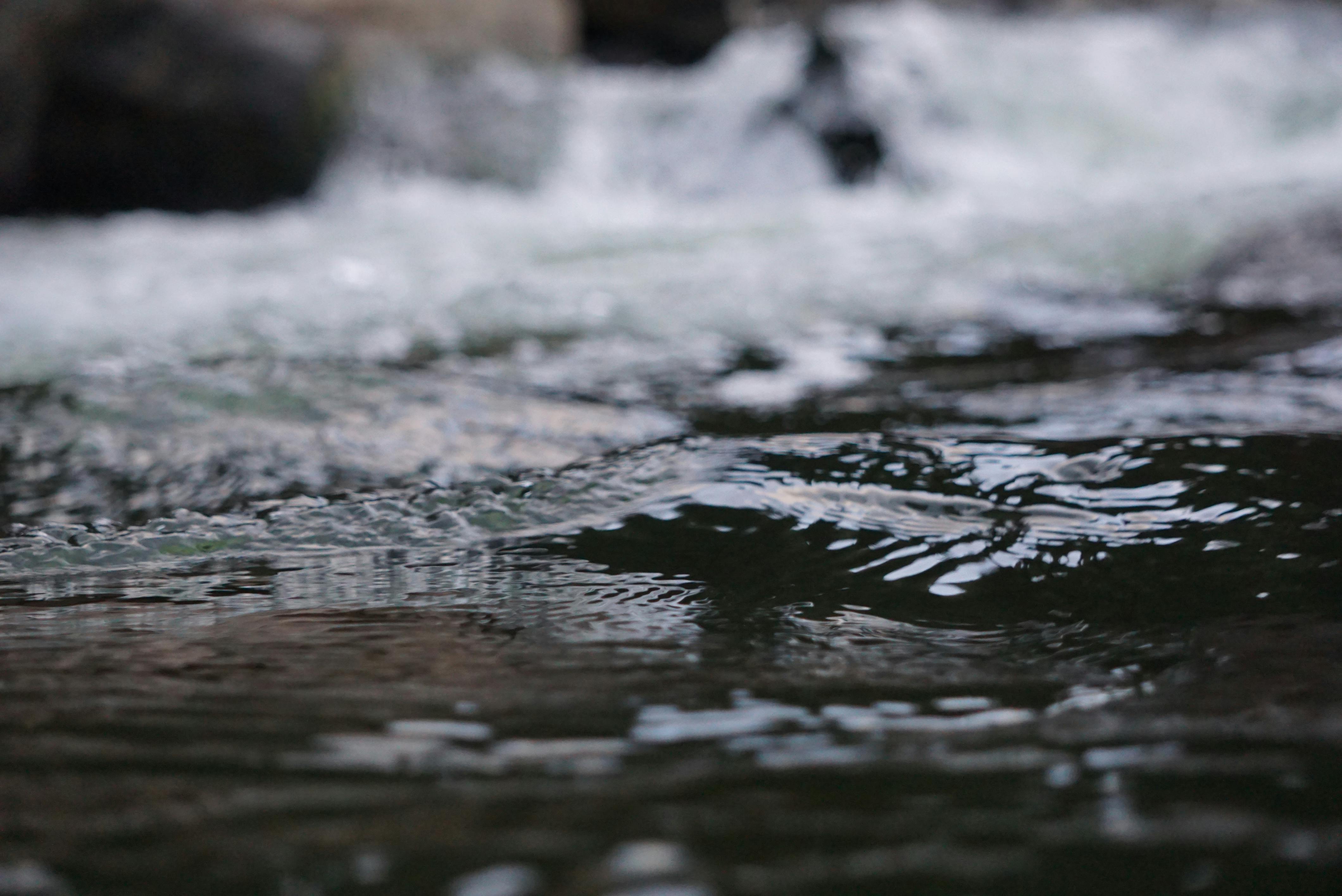 How to Read Water Currents for Better Fishing