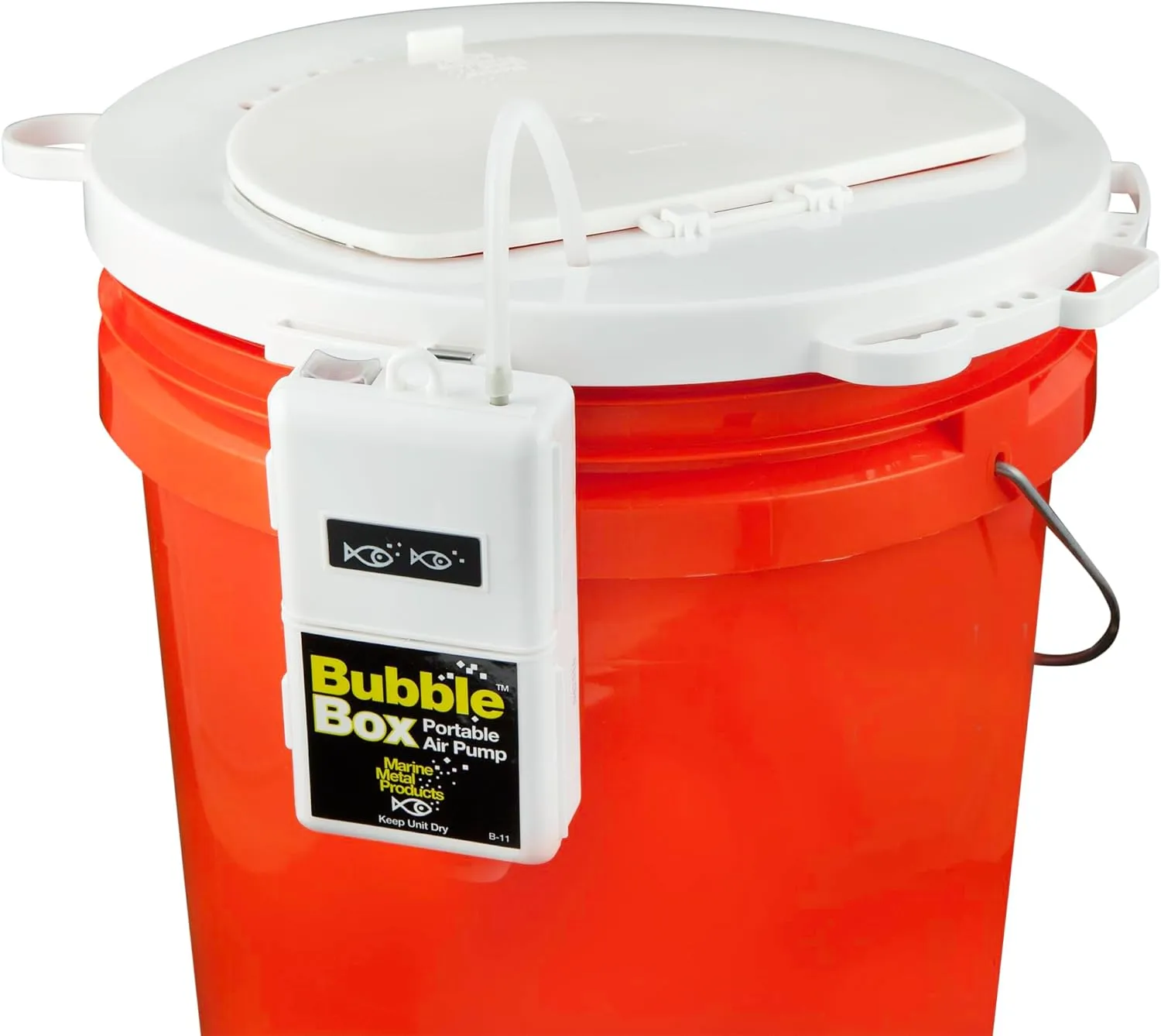 Properly secured bait bucket in vehicle with aerator running
