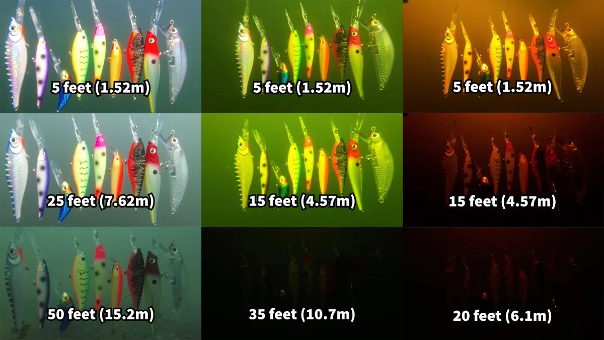 Chart showing preferred lure colors for different fish species