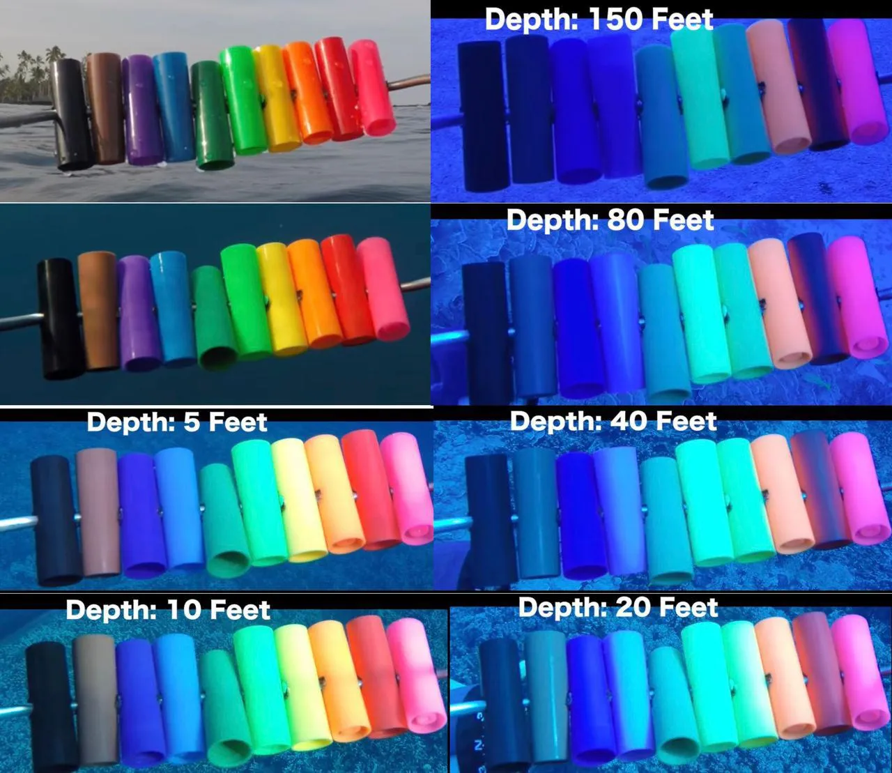 Underwater color visibility at different depths showing how colors fade